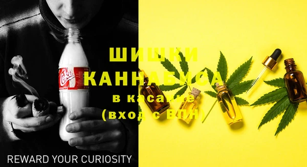 тгк Богородицк