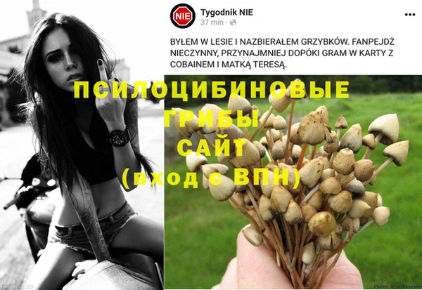 ALPHA PVP Богородск