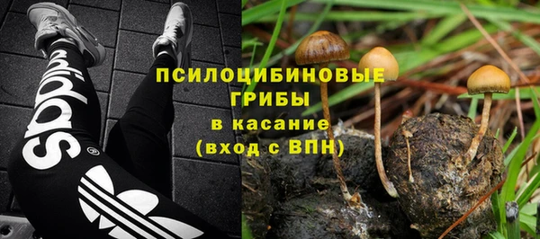 ALPHA PVP Богданович